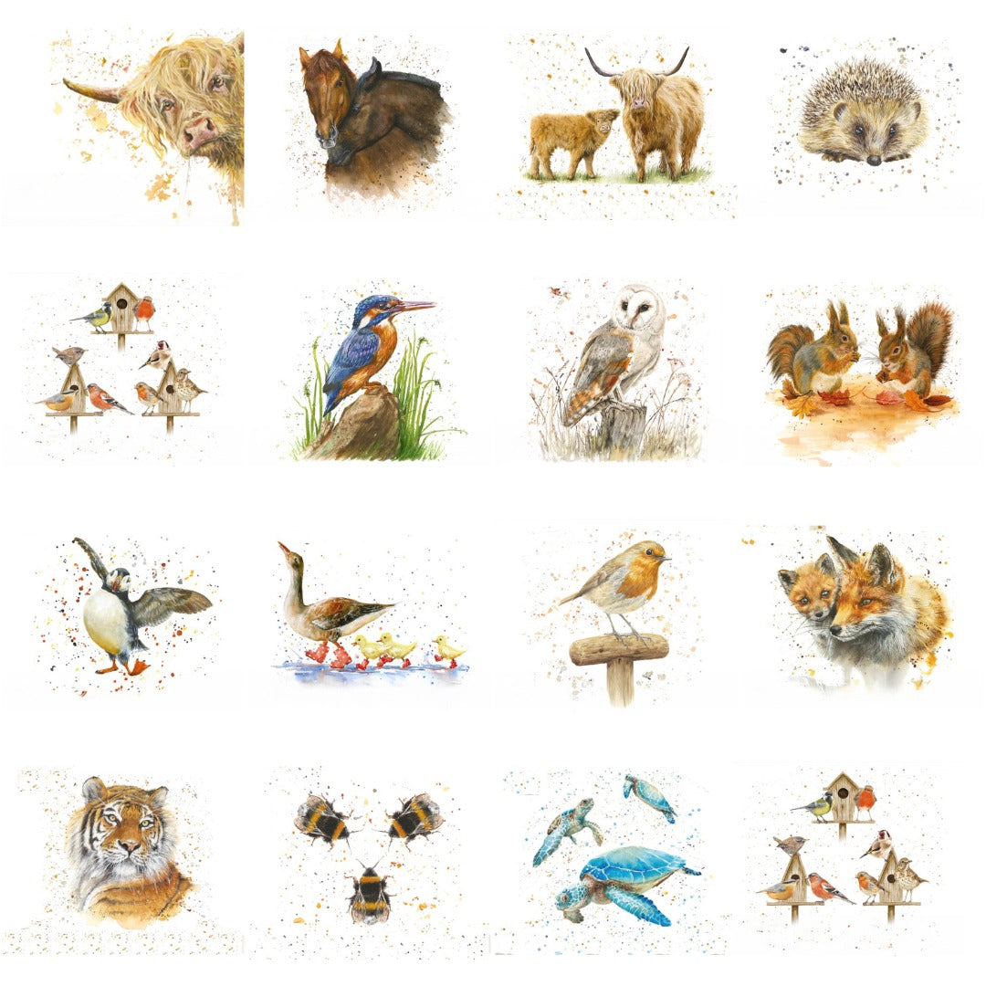 Diamante Crafts Bree Merryn Paint by Numbers - Collection of Animal Illustrations 40 x 50cm