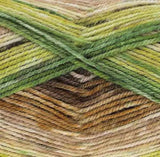 Kingcole Bramble DK - 100% Premuim Acrylic - 100g - 290m