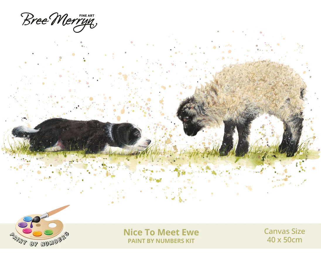 Bree Merryn Paint By Numbers