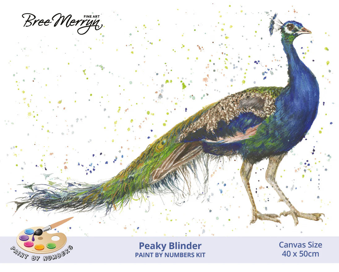 Bree Merryn Paint By Numbers