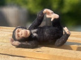 Chimp - Chico - Felting Kit - World Of Wool