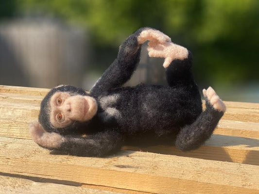 Chimp - Chico - Felting Kit - World Of Wool