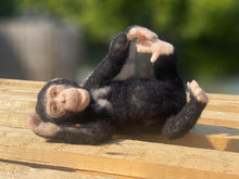Load image into Gallery viewer, Chimp - Chico - Felting Kit - World Of Wool
