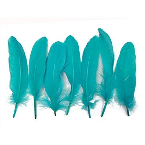 Turqoise Goose Feather