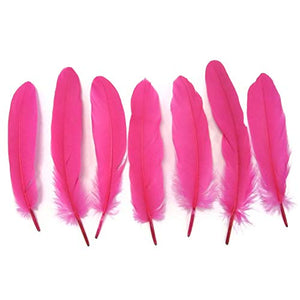 Cerise Goose Feather