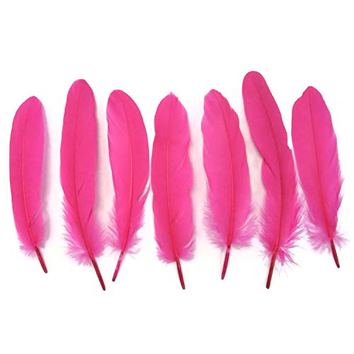 Cerise Goose Feather