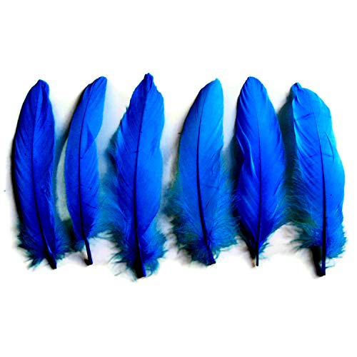 Royal Blue Goose Feather