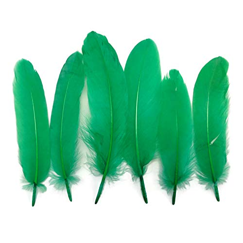 Green Goose Feather