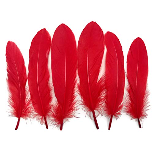 Red Goose Feather