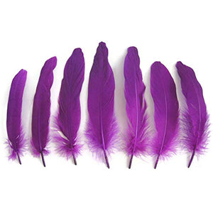 Purple Goose Feather