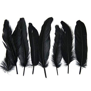 Black Goose Feather