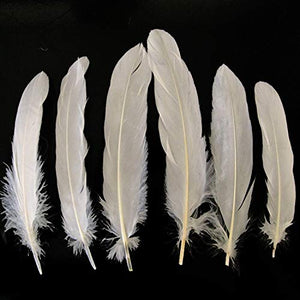Cream Goose Feather