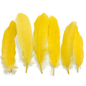 Yellow Goose Feather