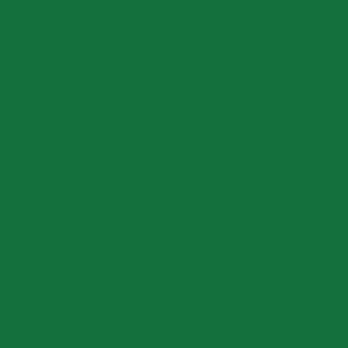 A5 Vinyl Sheets Siser EasyWeed - Green