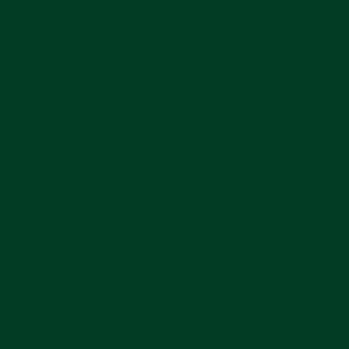 A5 Siser Vinyl Sheets Siser EasyWeed - Dark Green