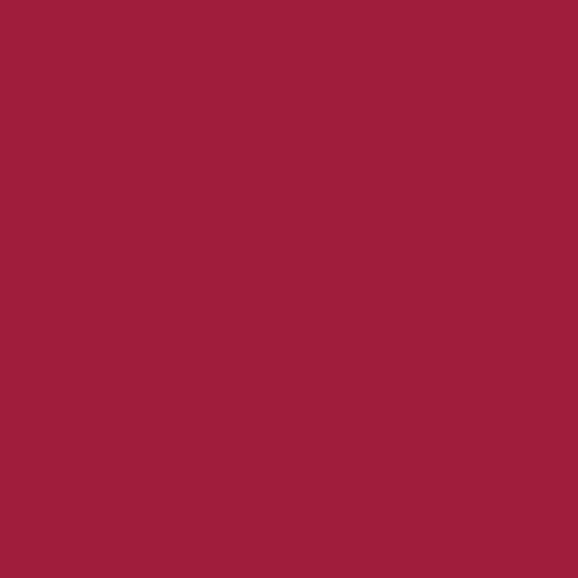 A4 Vinyl Sheets Siser EasyWeed - Burgundy