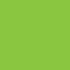 A4 Vinyl Sheets Siser EasyWeed - Fluorescent Green