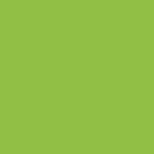 Mini Rolls 300 x 500 Siser EasyWeed -Apple Green