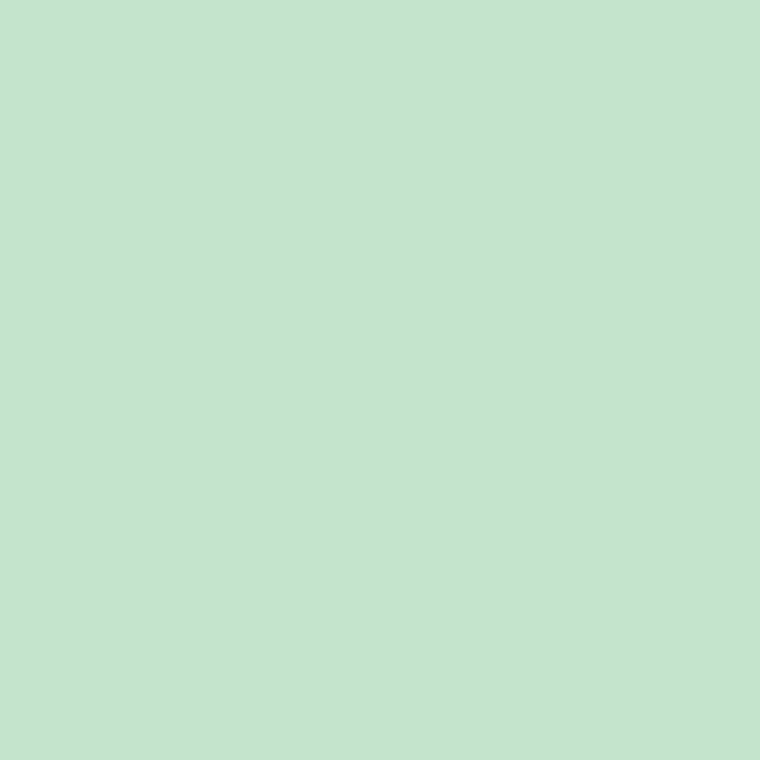 A5 Vinyl Sheets Siser EasyWeed - Mint
