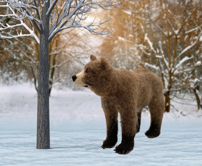 Bruno The Bear - Needle Felting Kit - World of Wool