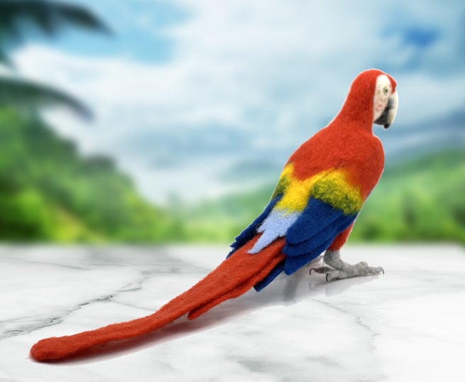 Pablo The Parrot - Needle Felting Kit - World of Wool
