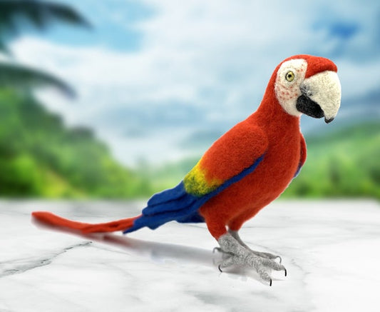 Pablo The Parrot - Needle Felting Kit - World of Wool