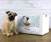 Load image into Gallery viewer, Pug - Pugsley - Felting Kit - World Of Wool
