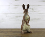 Rabbit - Romeo - Felting Kit - World Of Wool