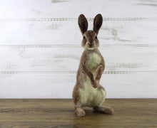 Load image into Gallery viewer, Rabbit - Romeo - Felting Kit - World Of Wool

