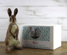 Load image into Gallery viewer, Rabbit - Romeo - Felting Kit - World Of Wool
