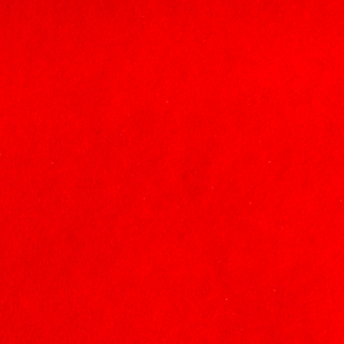 Coral Fluorescent