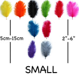 Assorted Ostrich Feathers 2" - 6"