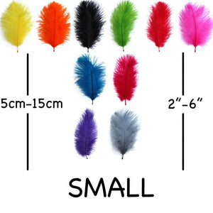 Assorted Ostrich Feathers 2" - 6"