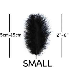Black Ostrich Feathers 2" - 6"