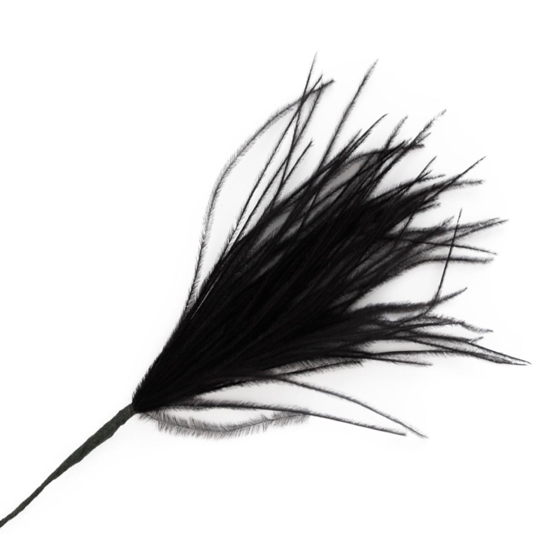 Black Wisps Ostrich Feathers