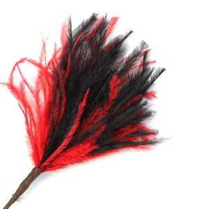 Black & Red Wisps Ostrich Feathers
