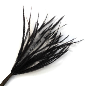 Black & White Wisps Ostrich Feathers