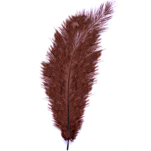 Diamante Crafts Ostrich Feathers 10" - 12" / 25cm- 30cm - Plume Fluffy - Brown