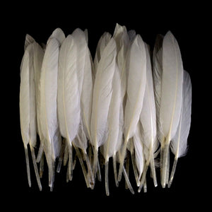 Cream Duck Feathers