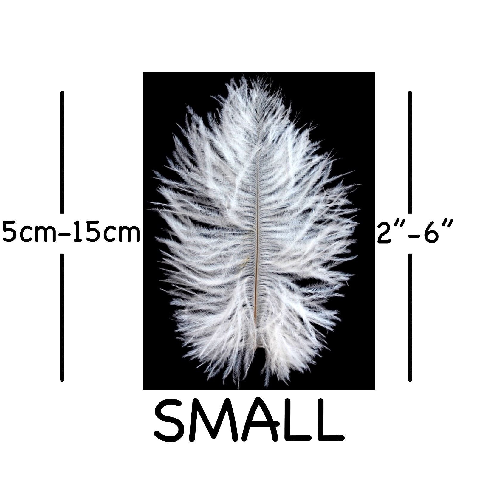 Cream Ostrich Feathers 2" - 6"