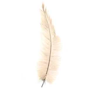 Diamante Crafts Ostrich Feathers 10" - 12" / 25cm- 30cm - Plume Fluffy - cream
