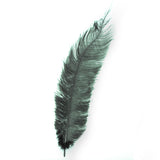 Diamante Crafts Ostrich Feathers 10" - 12" / 25cm- 30cm - Plume Fluffy - Dark Green