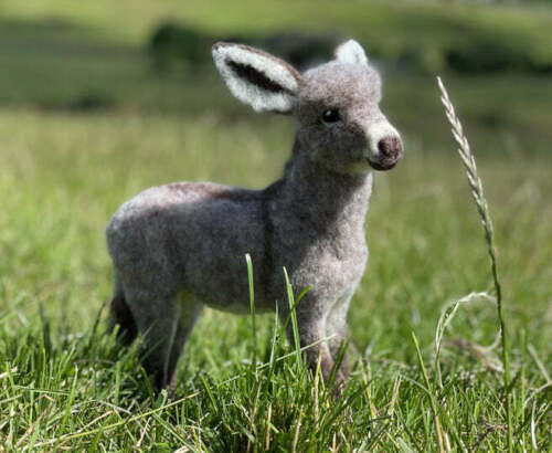 Diego The Donkey - Needle Felting Kit - World of Wool