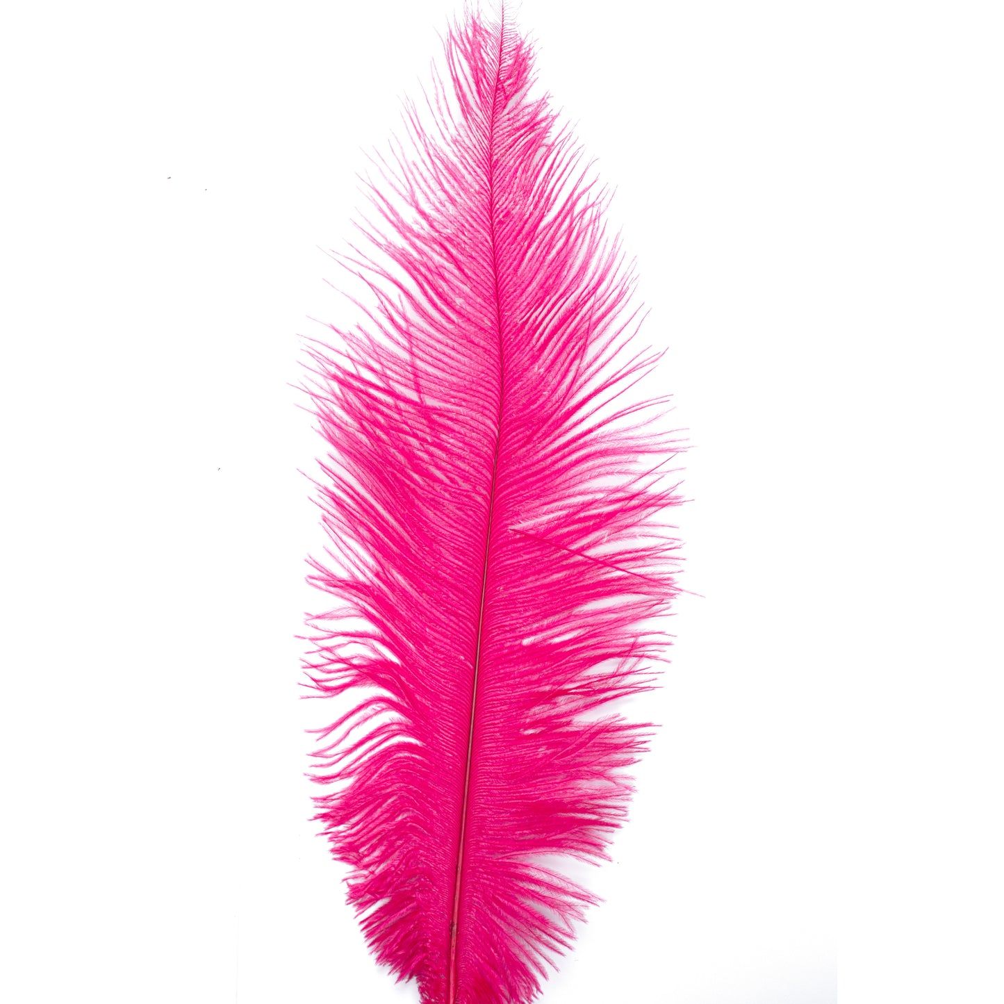 Diamante Crafts Ostrich Feathers 10" - 12" / 25cm- 30cm - Plume Fluffy - Fuchshia