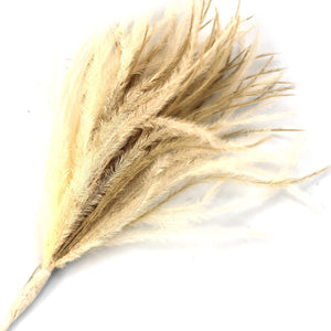 Gold & Cream Wisps Ostrich Feathers