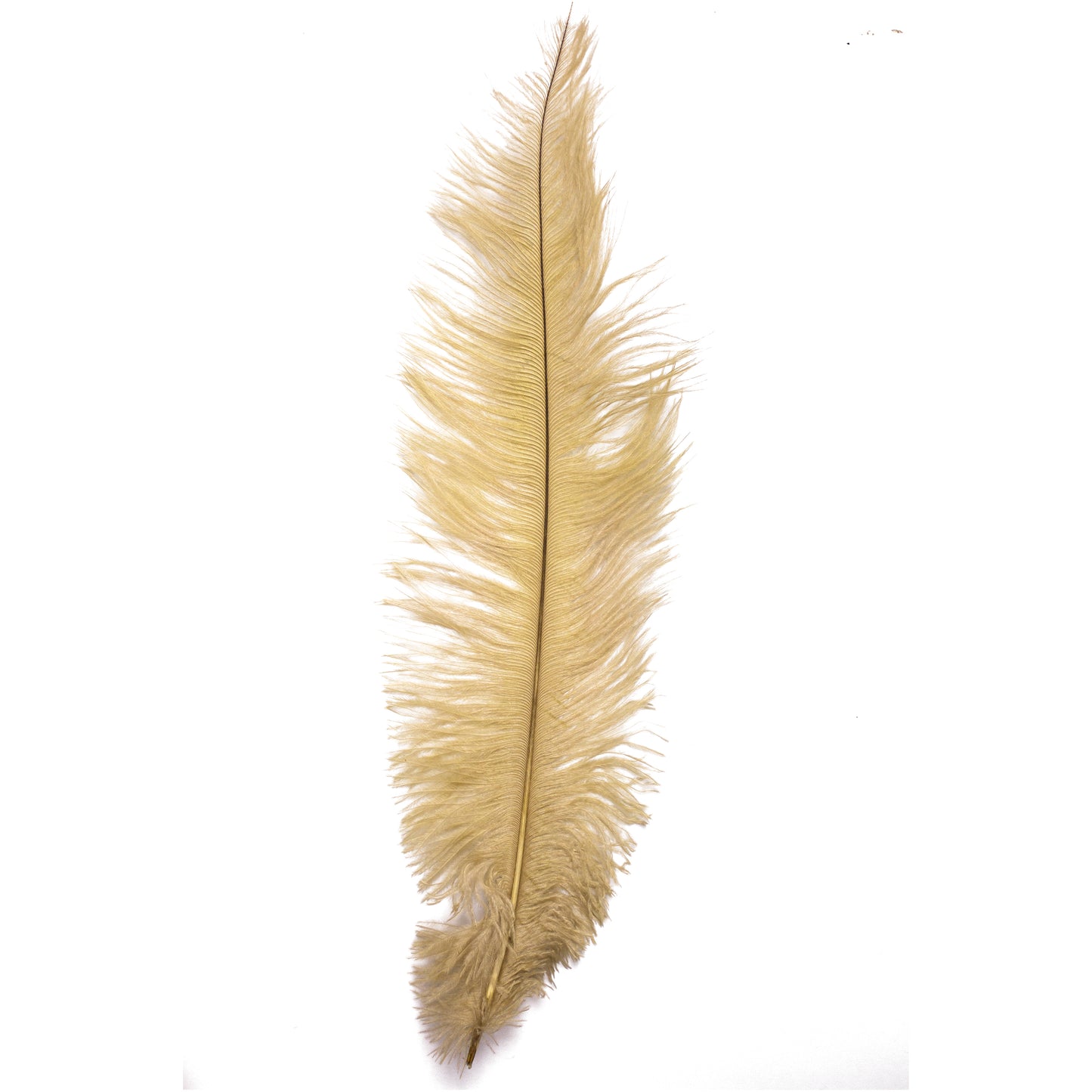 Diamante Crafts Ostrich Feathers 10" - 12" / 25cm- 30cm - Plume Fluffy - Beige