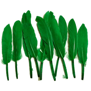 Green Duck Feathers