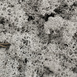 Moss - Norwegian Reindeer - Natural Preserved Dried - Grey - Choose Weight