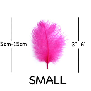 Hot Pink Ostrich Feathers 2" - 6"