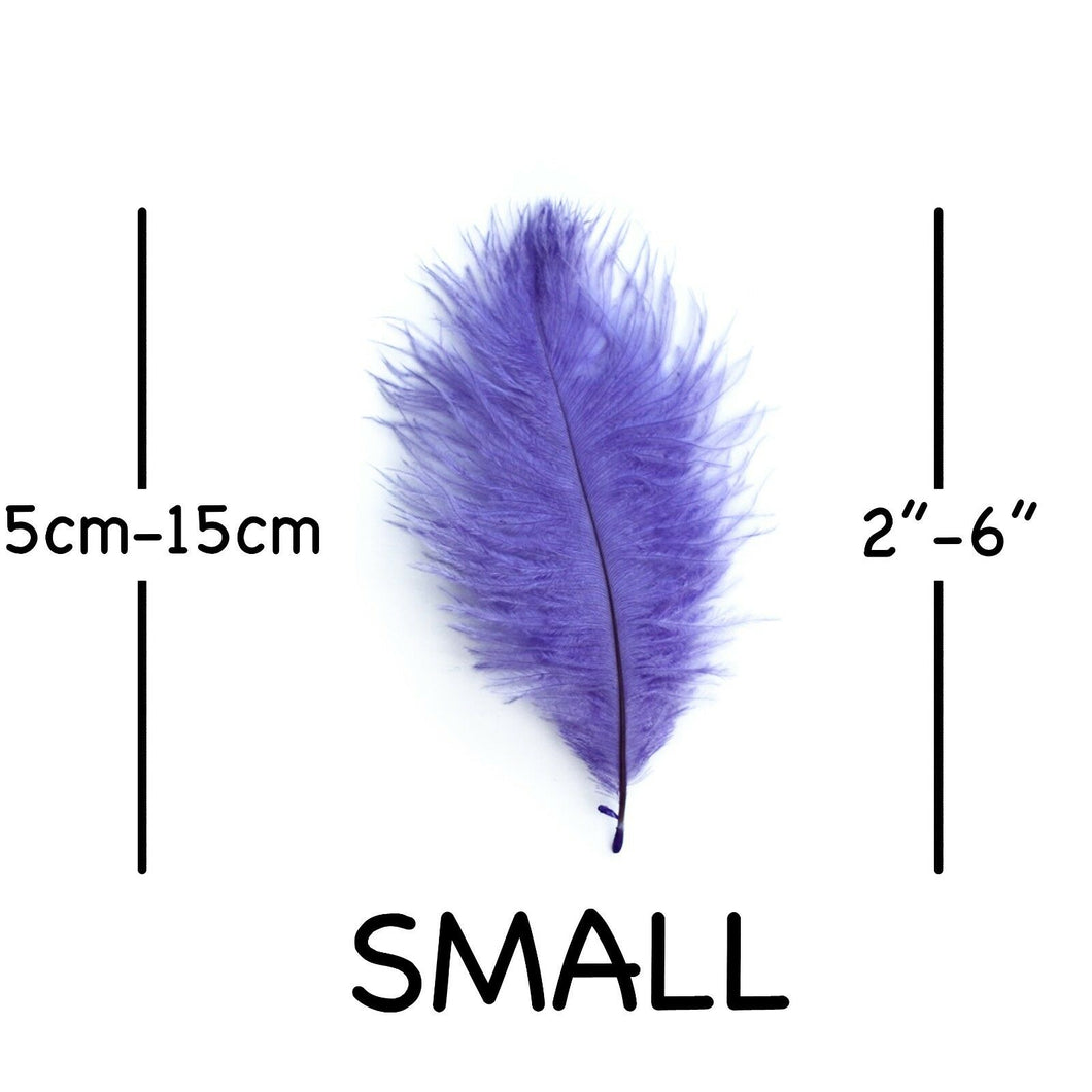 Lilac Ostrich Feathers 2